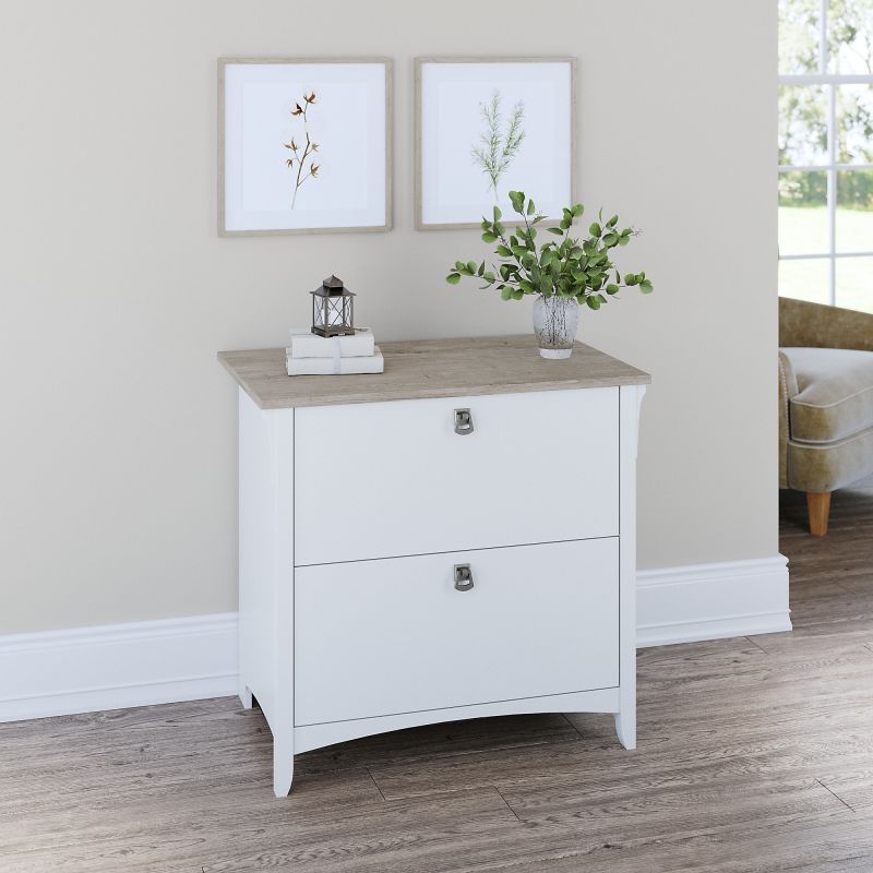 SAF132G2W-03 Bush Furniture Salinas 2 Drawer Lateral File Cabinet in Pure White and Shiplap Gray