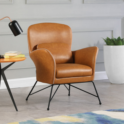 2019-ACC-CML Accent Chair Steel Frame