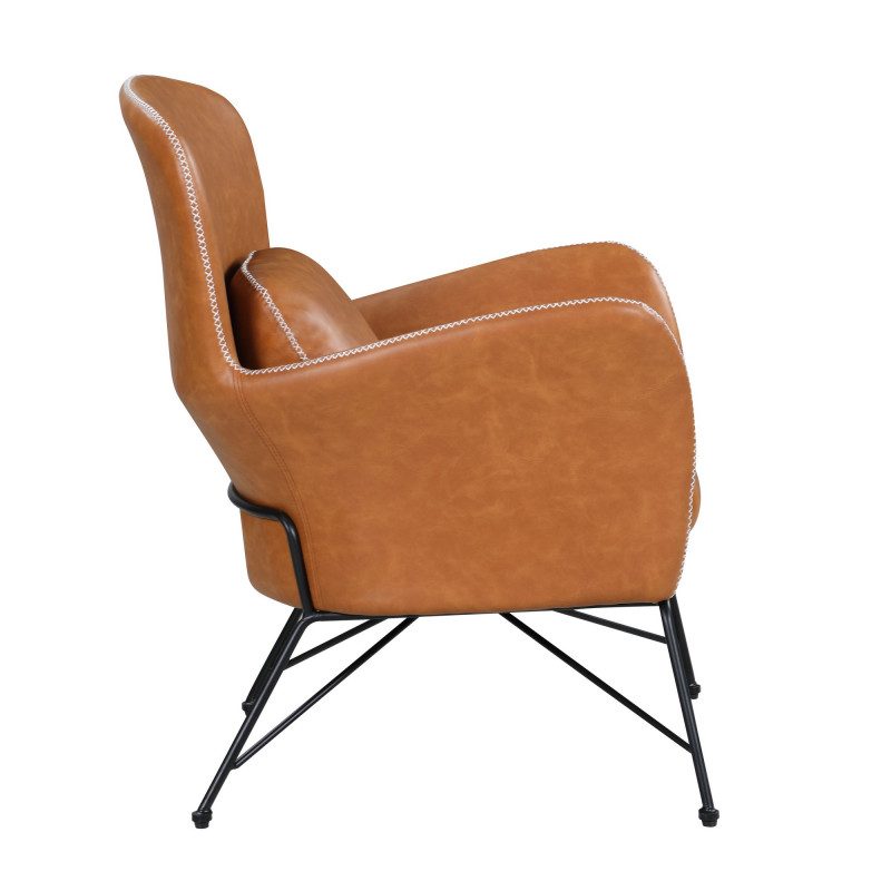 2019 Acc Cml Accent Chair Steel Frame 4