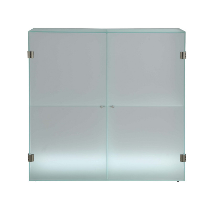 75301 Cab Frosted Glass Cabinet Doors Shelves Led Lights 3