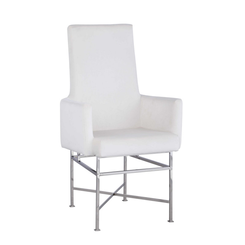 Kendall Ac Crm Contemporary Arm Chair Steel Frame 2