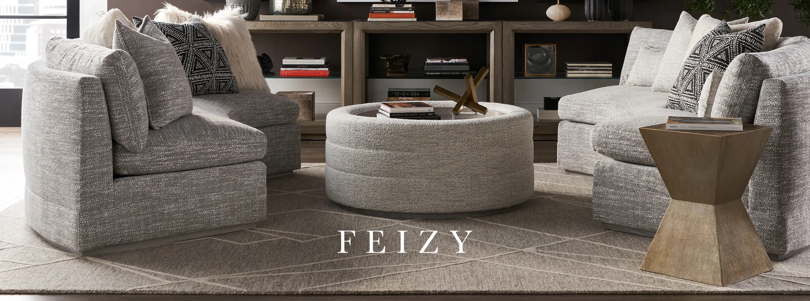 Shop Feizy Rugs