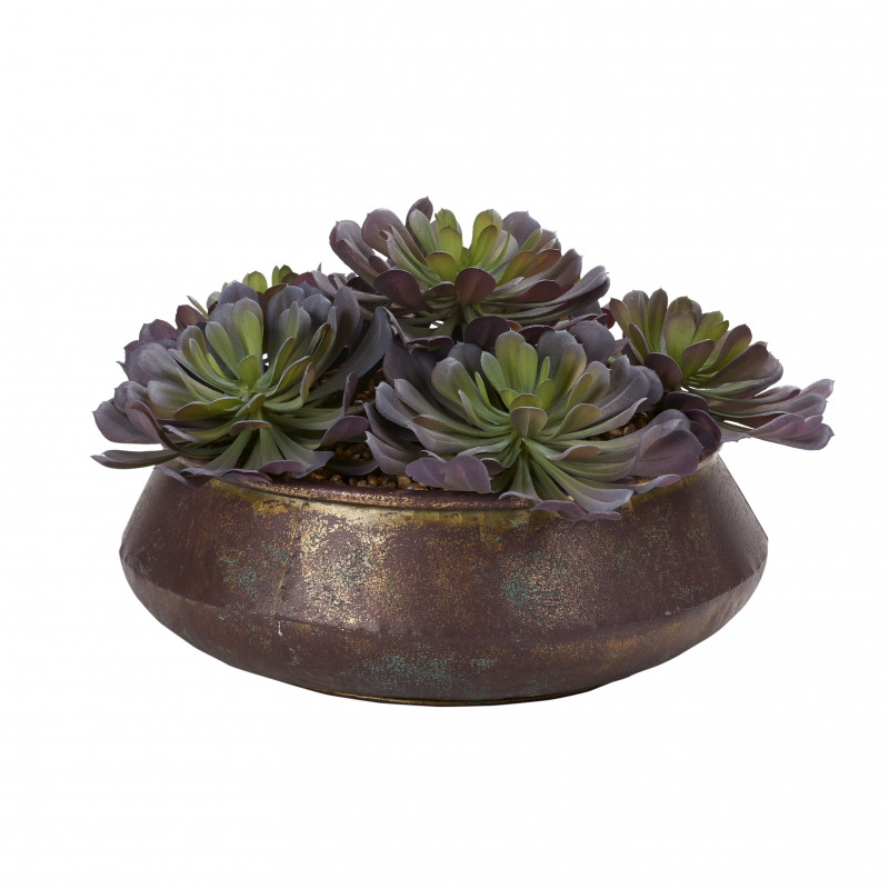 204019 Pinwheel Echeveria in Aged Copper Bowl