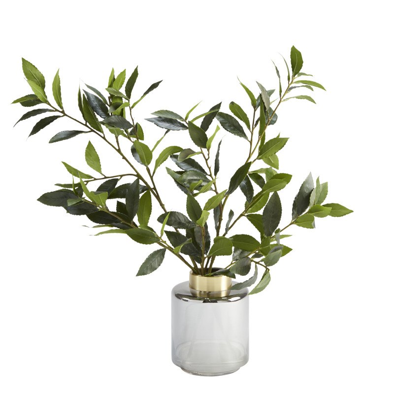209024 Bay Leaf Branches in Smoked Glass Vase - Small