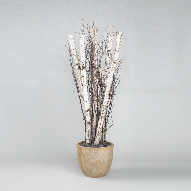 317401 Birch Poles and Birch Tree Tops Resin Plant in Planter