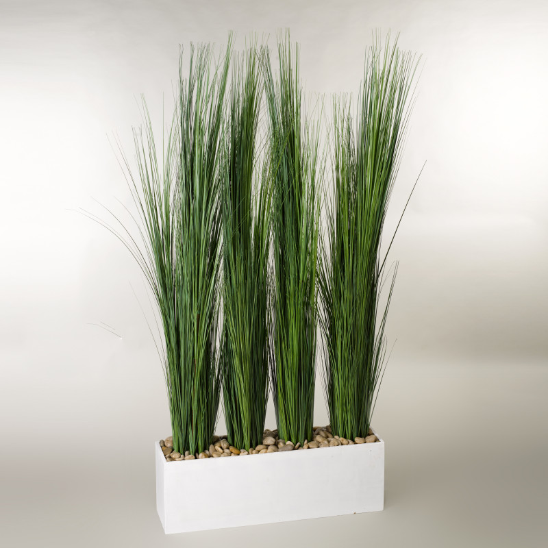 317418 Tall Onion Grass in Rectangle Planter