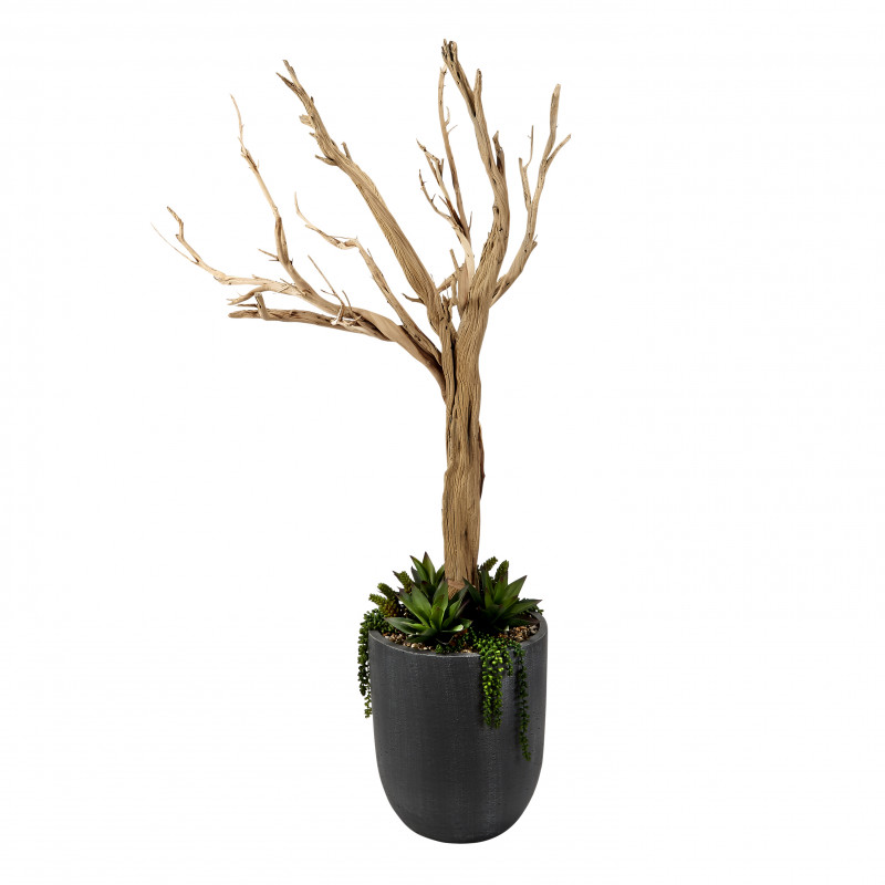 320409 6.5' Ghostwood with Agave and Cedum in Grey Resin Planter