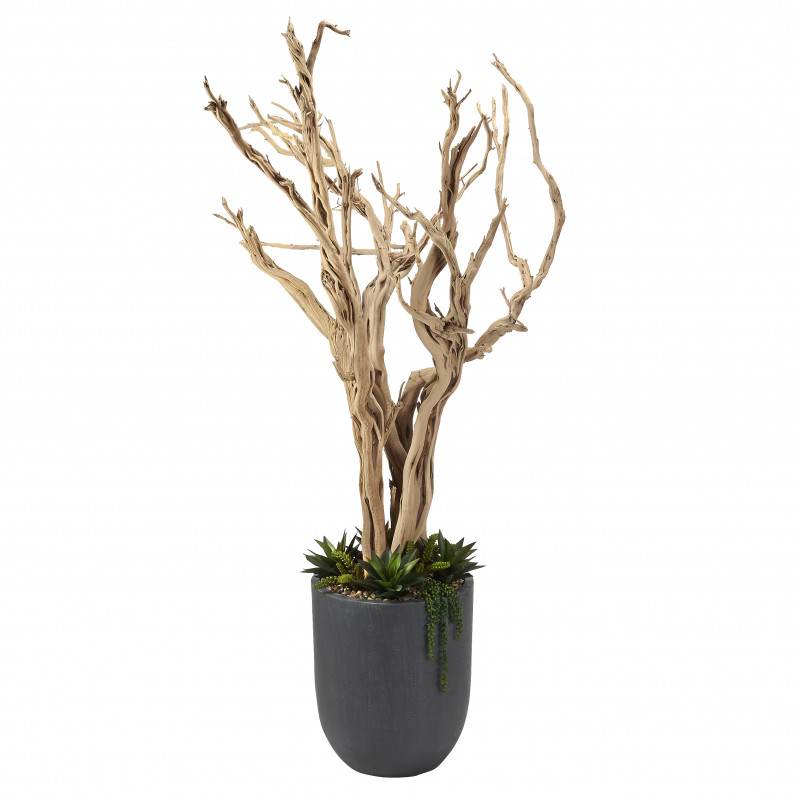 320410 8' Ghostwood With Agave and Cedum in Round Grey Resin Planter
