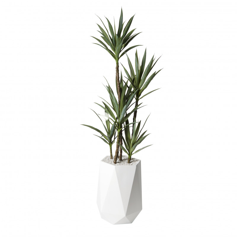 320413 6.5' Yucca Tree in White Resin Planter