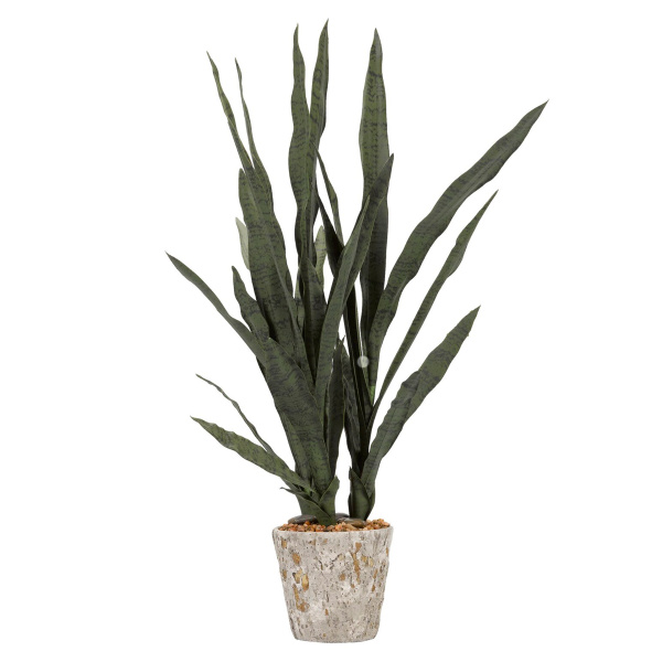 Dw Silks 179027 Mother In Law S Tongue Desktop Foliage Plant In Planter