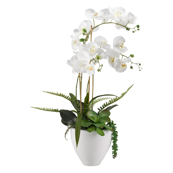189048 Orchids Floral Arrangement in Ceramic Bowl