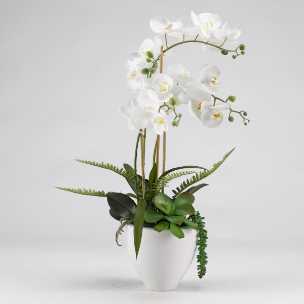 189048 Orchids Floral Arrangement in Ceramic Bowl