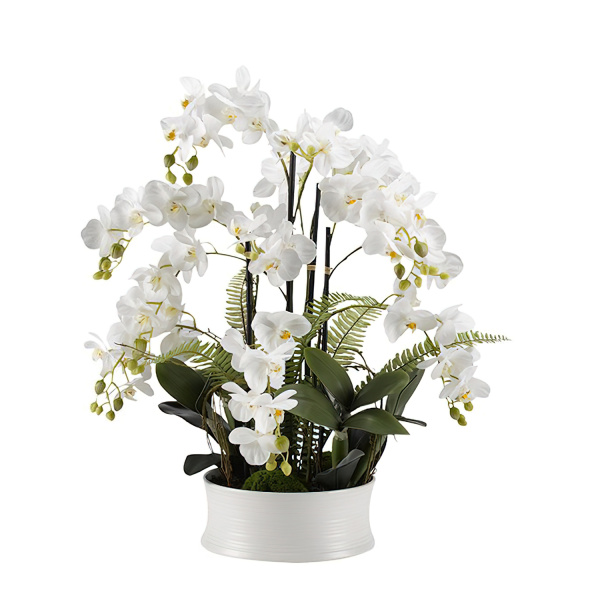 189049 White orchids in round white ceramic dish