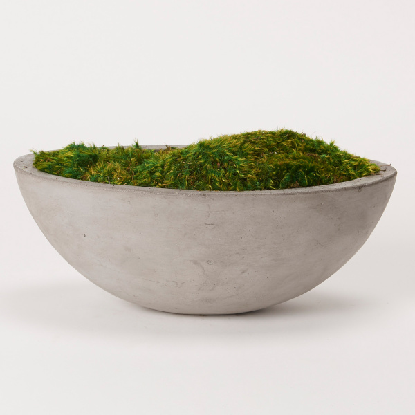 197024 Preserved Mood Moss in Oval Concrete Bowl