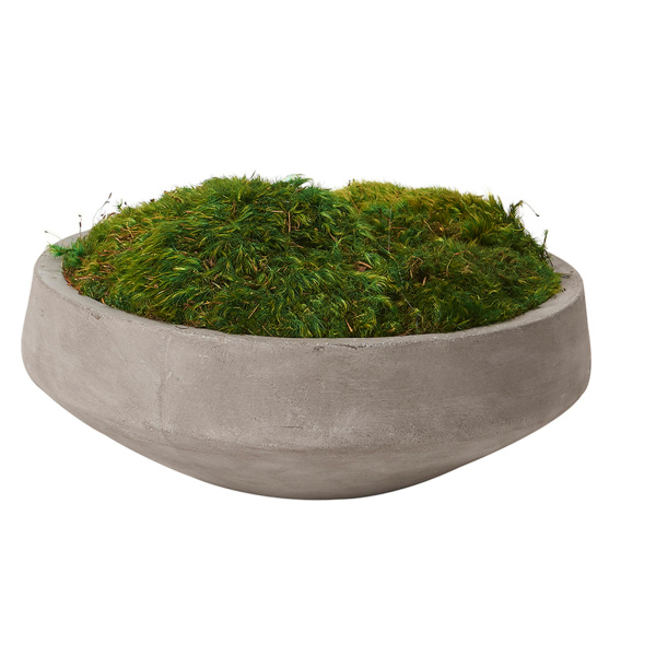 Preserved Mood Moss in Round Cement Bowl