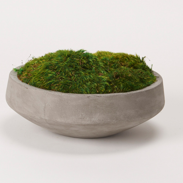 197025 Preserved Mood Moss in Round Cement Bowl