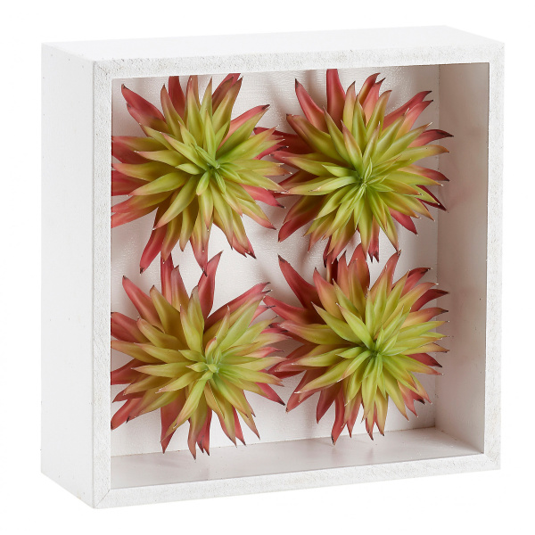 212112 Succulent Stems In Wood Box Frame
