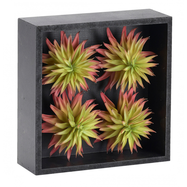 212120 Succulent Stems In Wood Box Frame