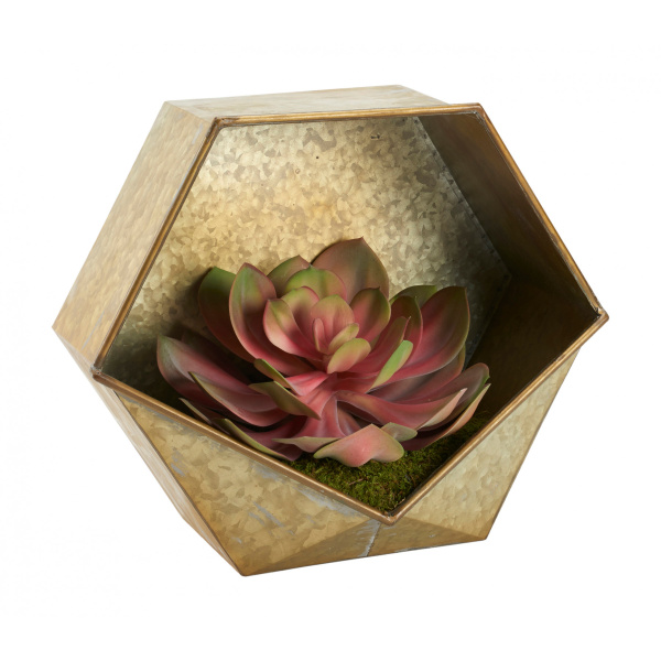212263 Echeveria In Aged Bronze Wall Sconce