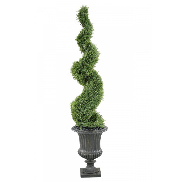 312105 7′ Spiral Rosemary Topiary in urn – Indoor/Outdoor