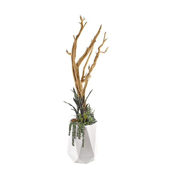 320907 Ghostwood with Succulents and Greenery in Resin Planter