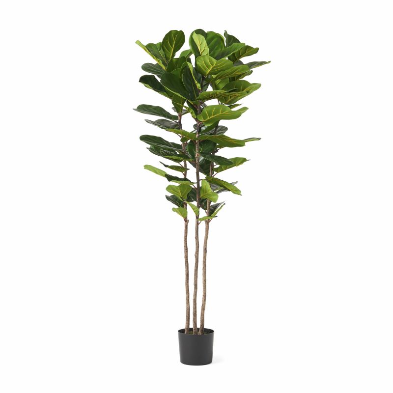 Socorro 6' x 2' Artificial Fiddle-Leaf Fig Tree, Green