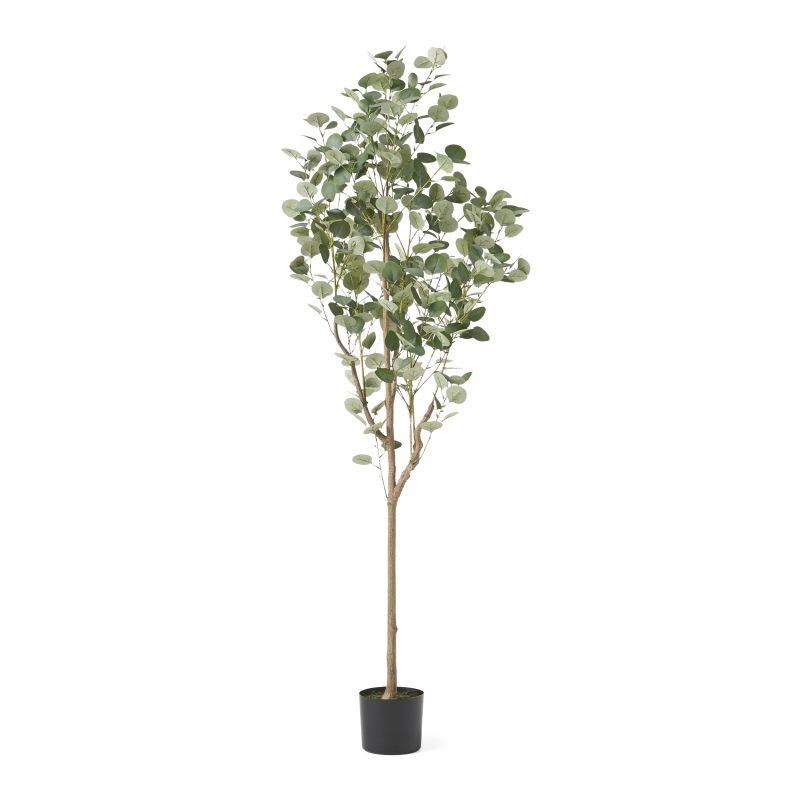Adair 6' x 2.5' Artificial Eucalyptus Tree, Green