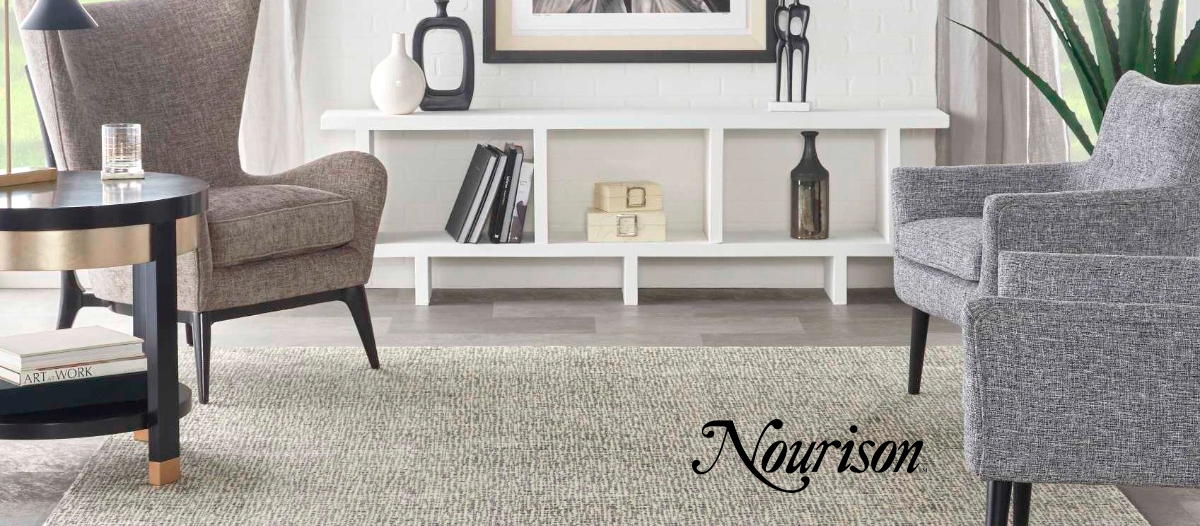 Save on Nourison Rugs