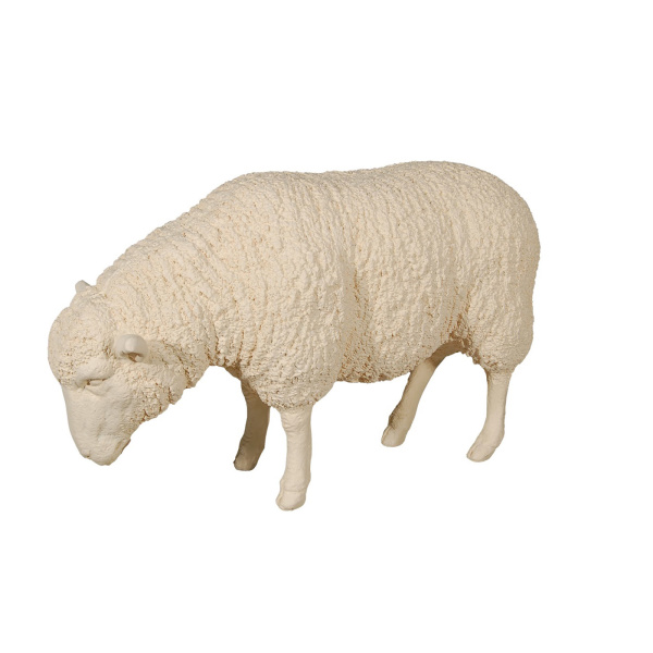 PH56052 Sheep Sculpture, Cream