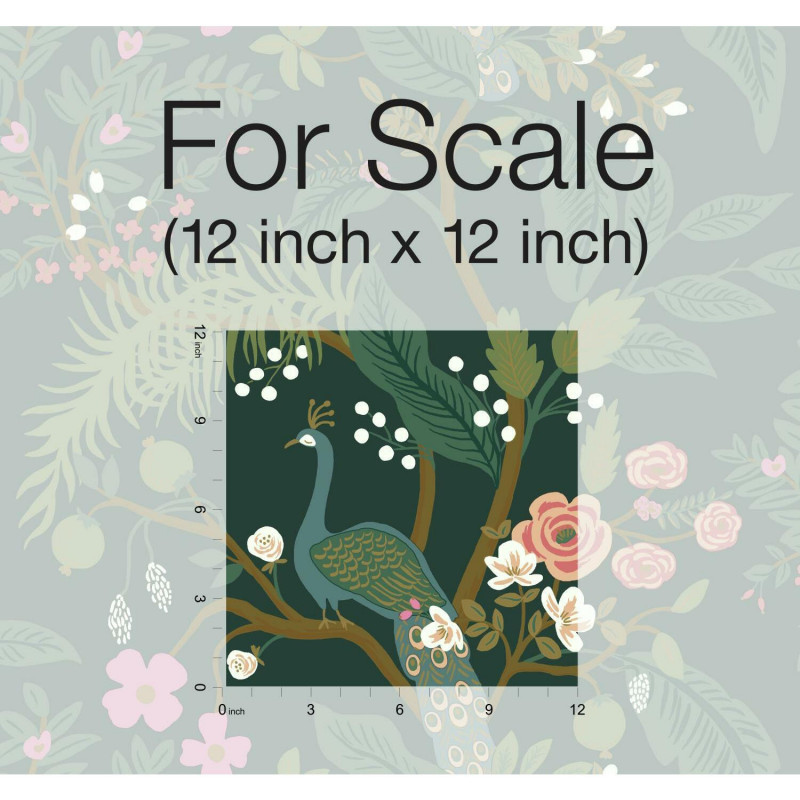 Ri5168 Scale
