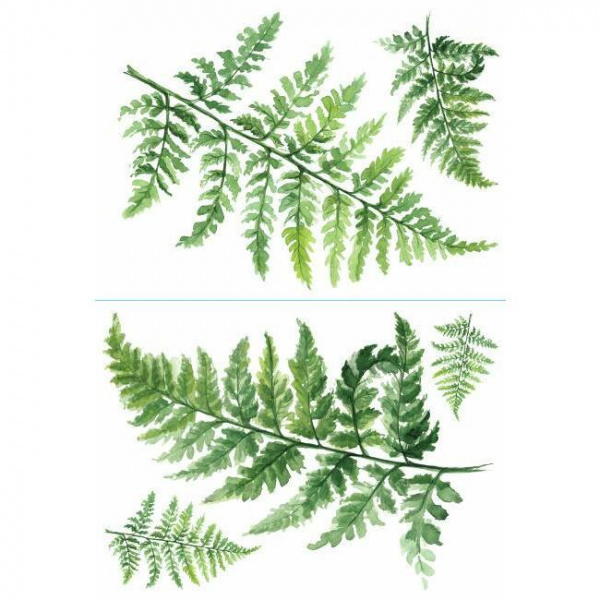RMK4559TBM Watercolor Fern Peel And Stick Giant Wall Decals