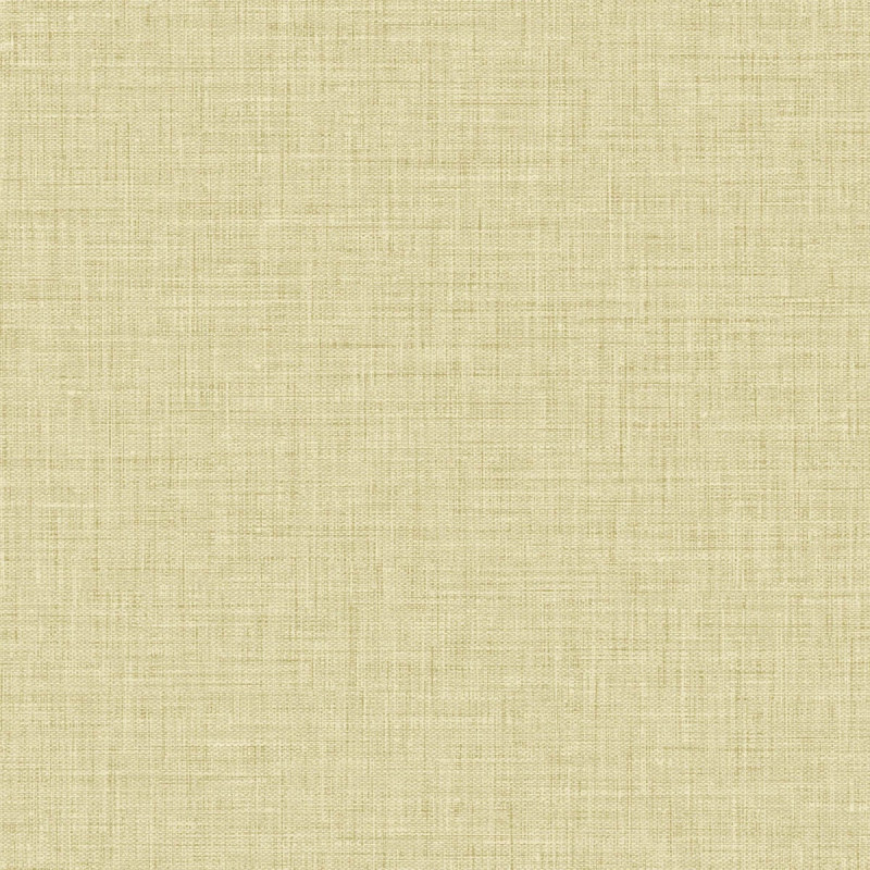 BV30203 Seabrook Designs Texture Gallery Solid