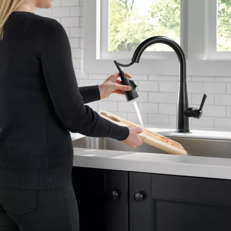 9113t Bl Dst Essa Single Handle Pull Down Kitchen Faucet With Touch2o Technology 7