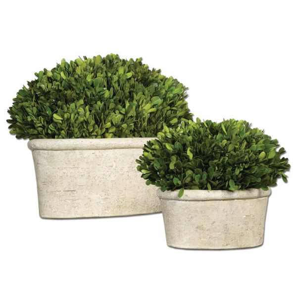 60107 Uttermost Oval Domes Preserved Boxwood Set/2
