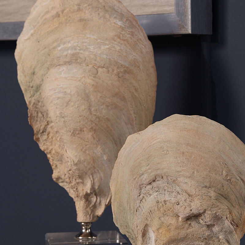 17523 Uttermost Oyster Shell Sculptures S/2