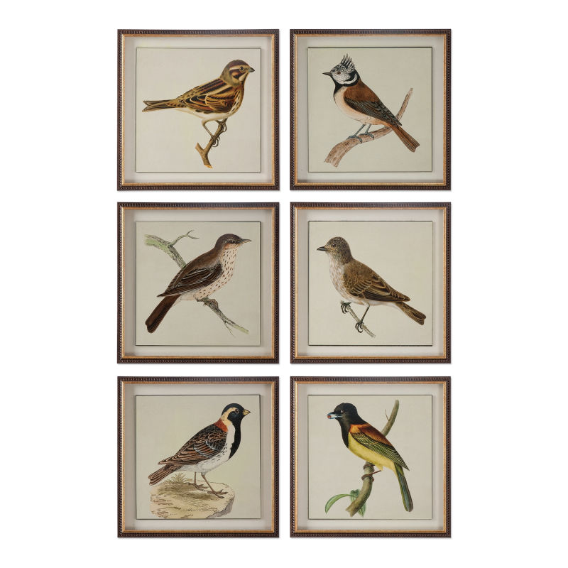 33627 Uttermost Spring Soldiers Bird Prints, S/6