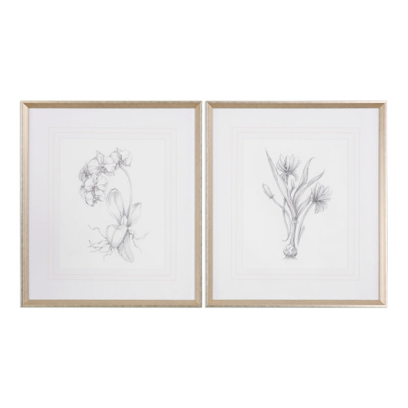 33649 Uttermost Botanical Sketches Framed Prints S/2