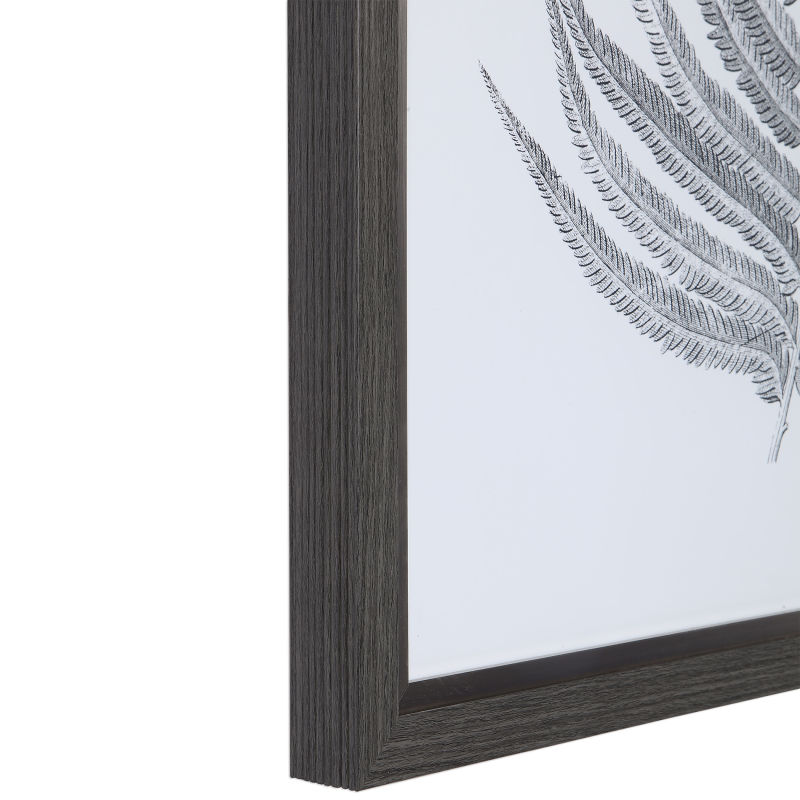 33685 Uttermost Silver Ferns Framed Prints Set/2