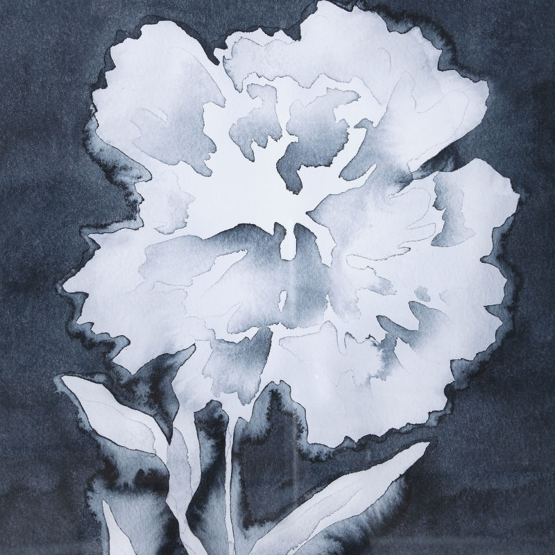 41612 Uttermost Dream Leaves Floral Prints, S/2
