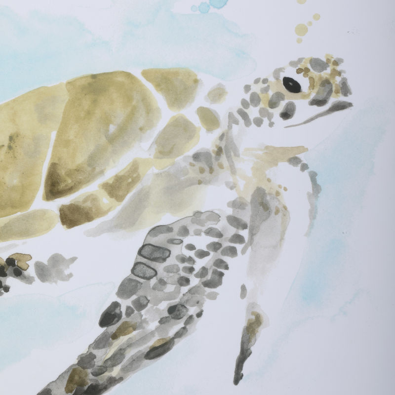 33720 Uttermost Sea Turtle Study Watercolor Prints, S/2