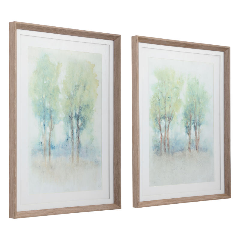 41615 Uttermost Meadow View Framed Prints, S/2