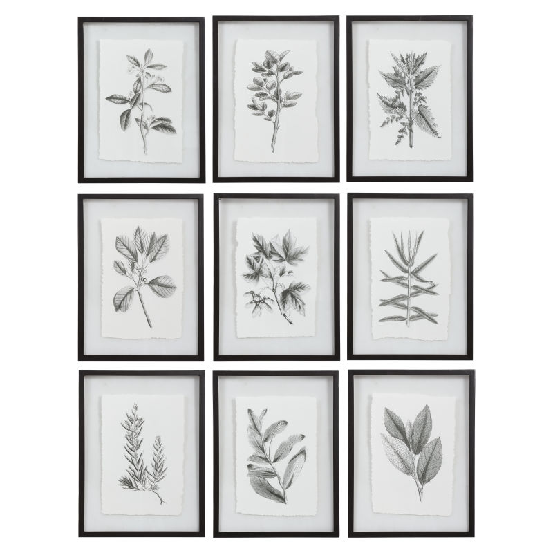 41617 Uttermost Farmhouse Florals Framed Prints, S/9