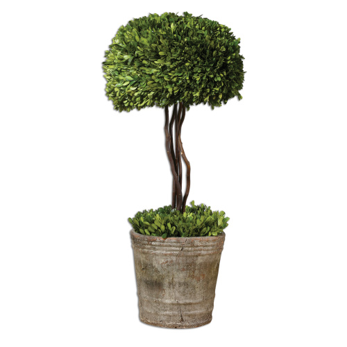 60095 Uttermost Tree Topiary Preserved Boxwood