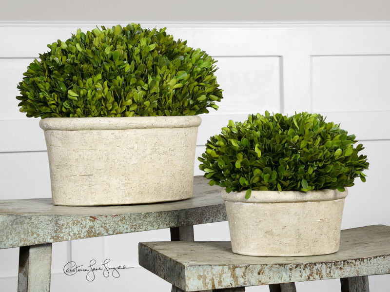 60107 Uttermost Oval Domes Preserved Boxwood Set/2