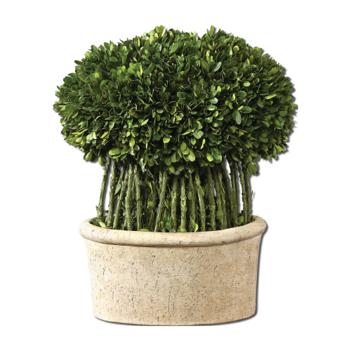 60108 Uttermost Willow Topiary Preserved Boxwood