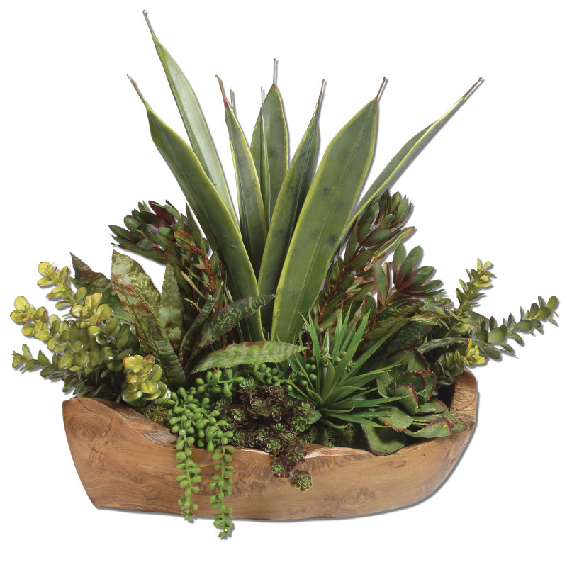 60119 Uttermost Salar Succulents In Teak Bowl