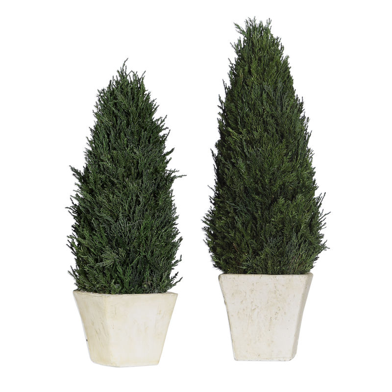 60140 Uttermost Cypress Cone Topiaries S/2