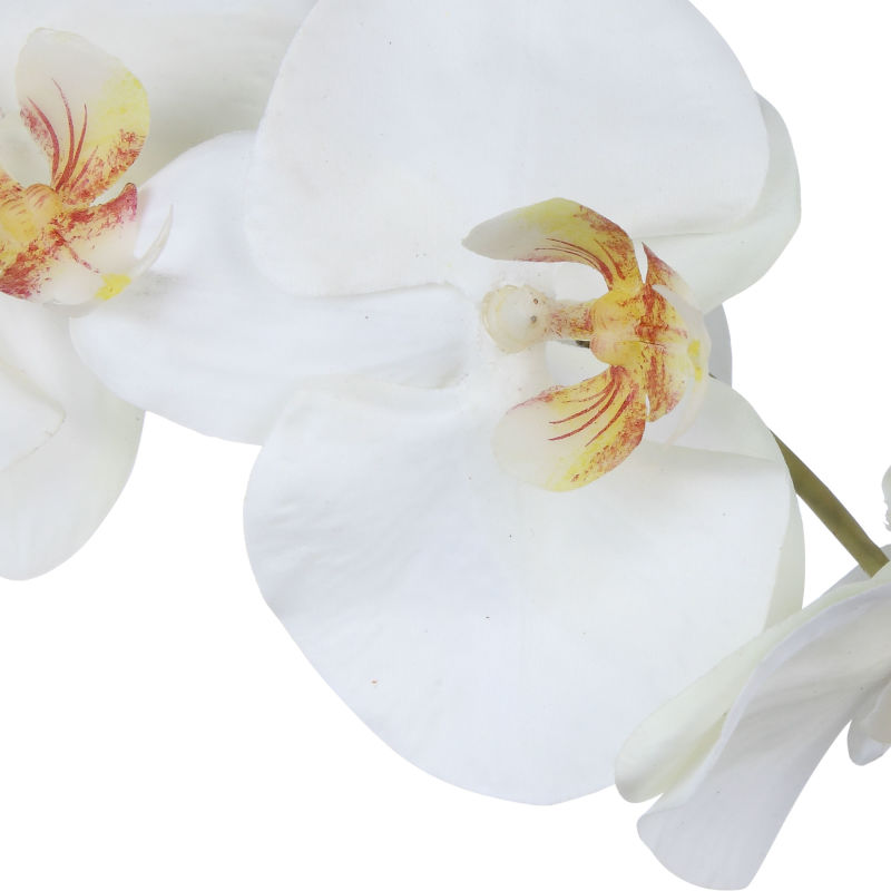 60175 Uttermost Eponine White Orchid