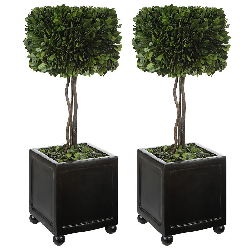 60187 Uttermost Preserved Boxwood Square Topiaries, S/2