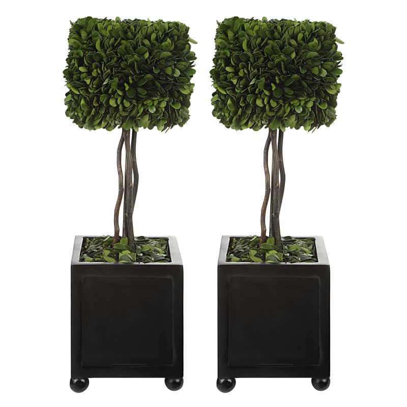 60187 Uttermost Preserved Boxwood Square Topiaries, S/2